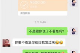 福鼎为什么选择专业追讨公司来处理您的债务纠纷？